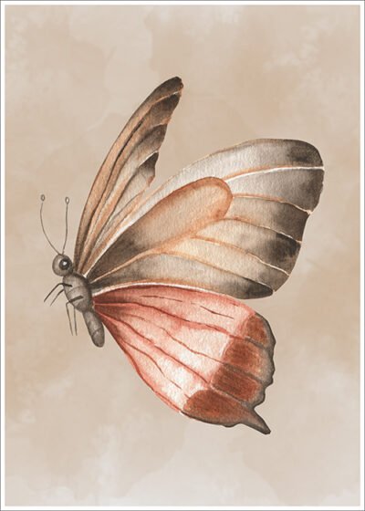 Plakat Motyl Brązowo-czerwony