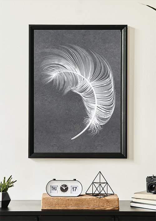 Plakat Białe pióro na szarym tle kompozycja