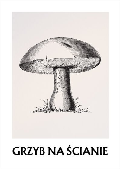 Plakat Grzyb na ścianie 2