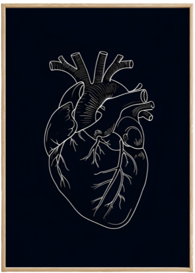 serce_kompozycja1