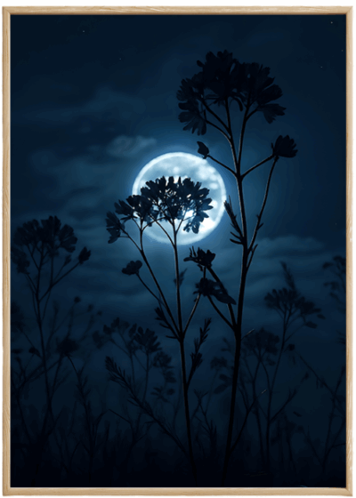 Plakat Nocne Kwiaty I Pełnia