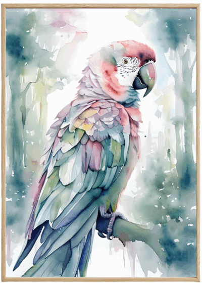 Plakat Akwarelowa Papuga