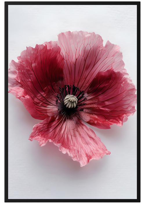 Plakat Kwiat W Powiększeniu Kompozycja1