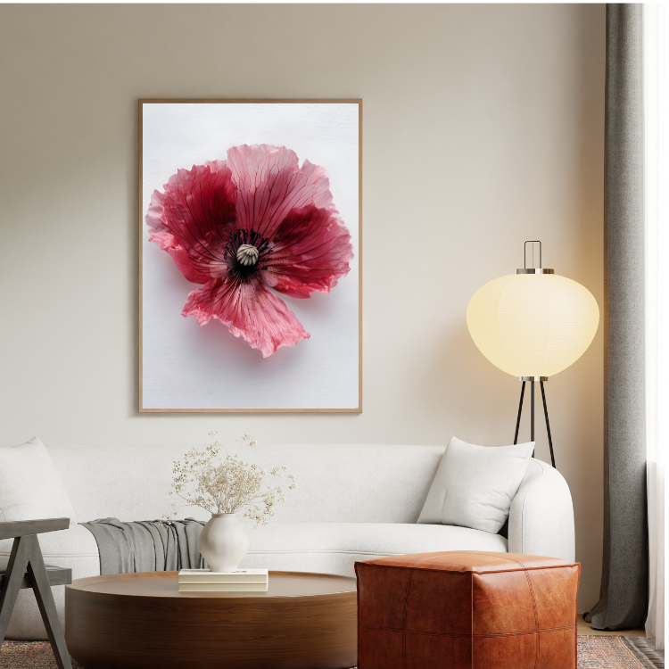 Plakat Kwiat W Powiększeniu Kompozycja4