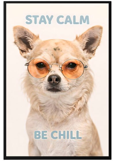 Plakat Chichuacha