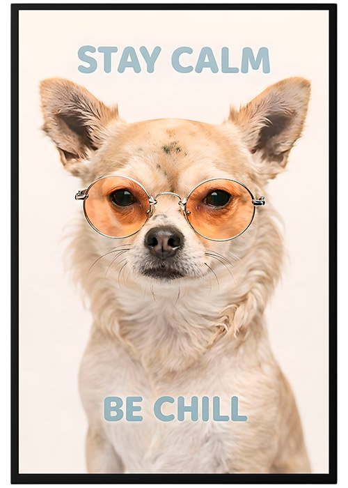 Plakat Chichuacha