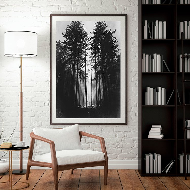 Plakat Ciemny Las Kompozycja 3