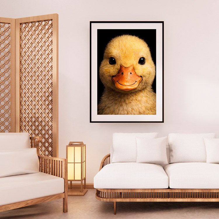 Plakat Mała Kaczuszka Kompozycja 2