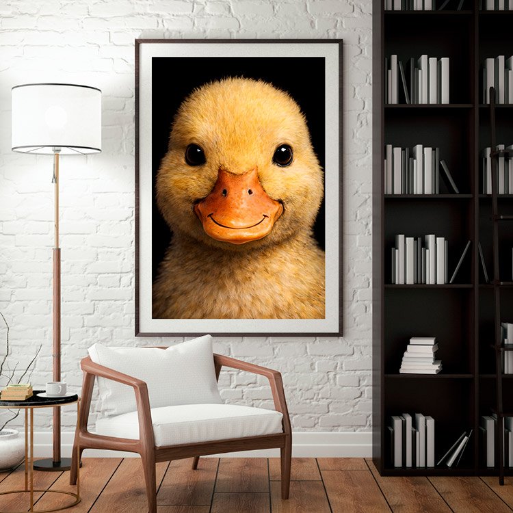 Plakat Mała Kaczuszka Kompozycja 3