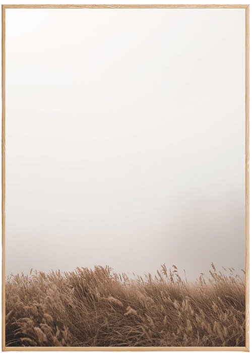 Plakat Mglisty Krajobraz 2 Kompozycja 1