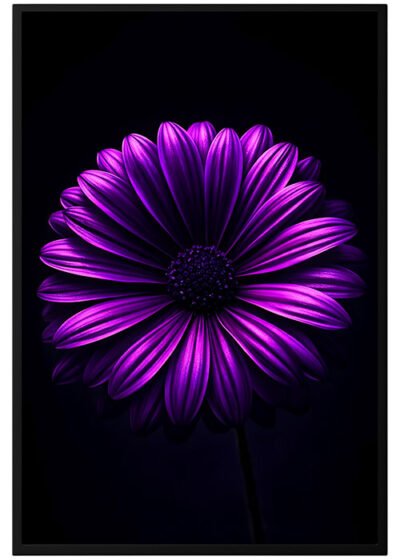 Plakat Purpurowy Kwiat