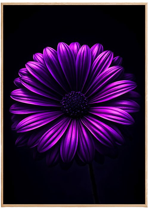 Plakat Purpurowy Kwiat Kompozycja 1