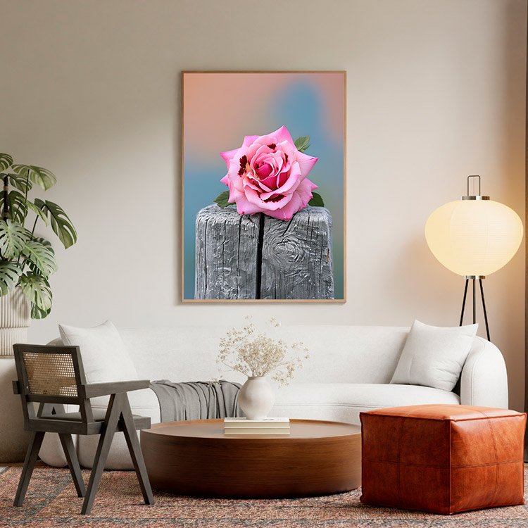 Plakat Róża W Kompozycji Kompozycja 5