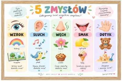 Plakat Edukacyjny 5 Zmysłów