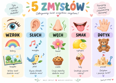 Plakat Edukacyjny 5 Zmysłów