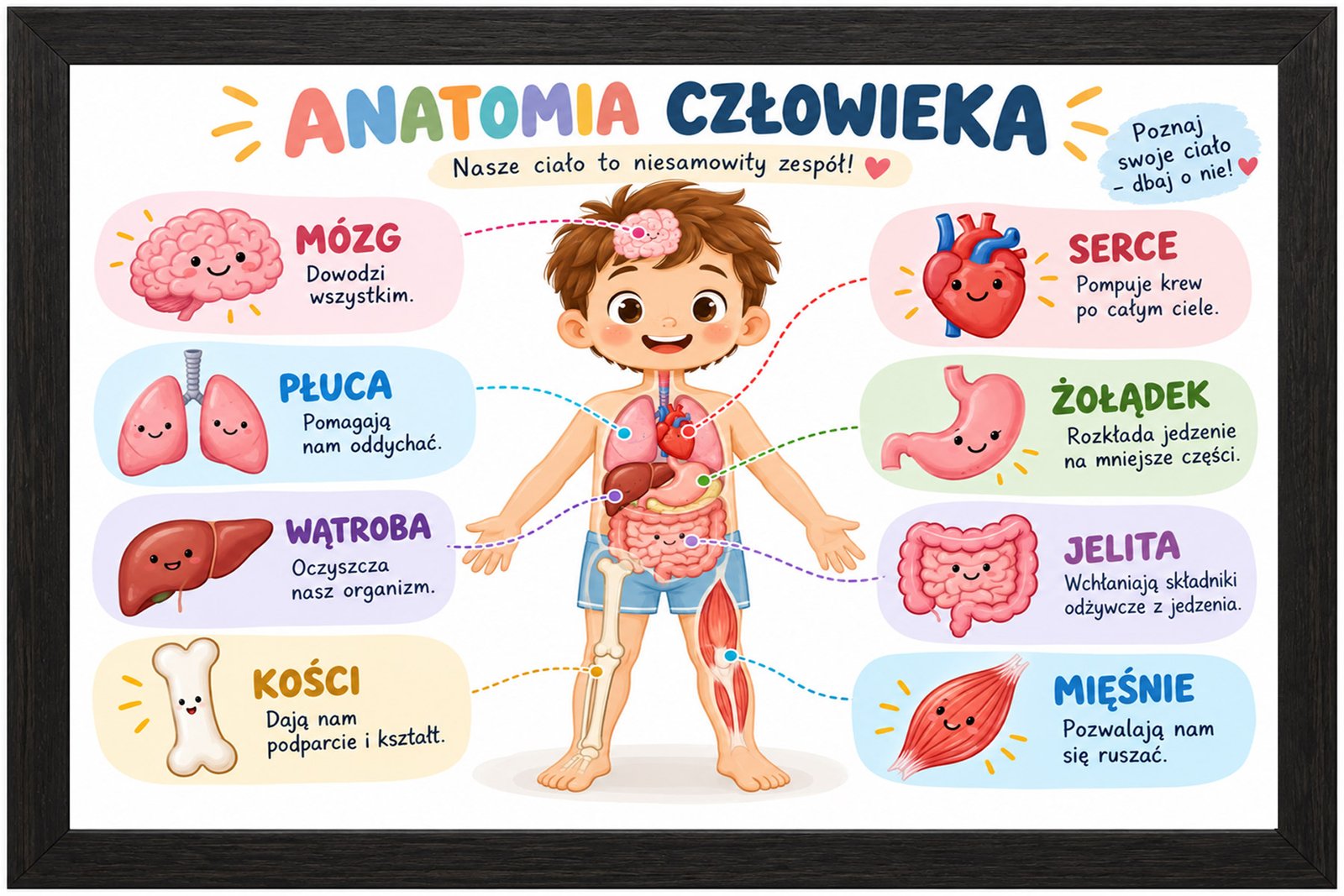 Plakat Edukacyjny Anatomia Człowieka 2 Kompozycja 1