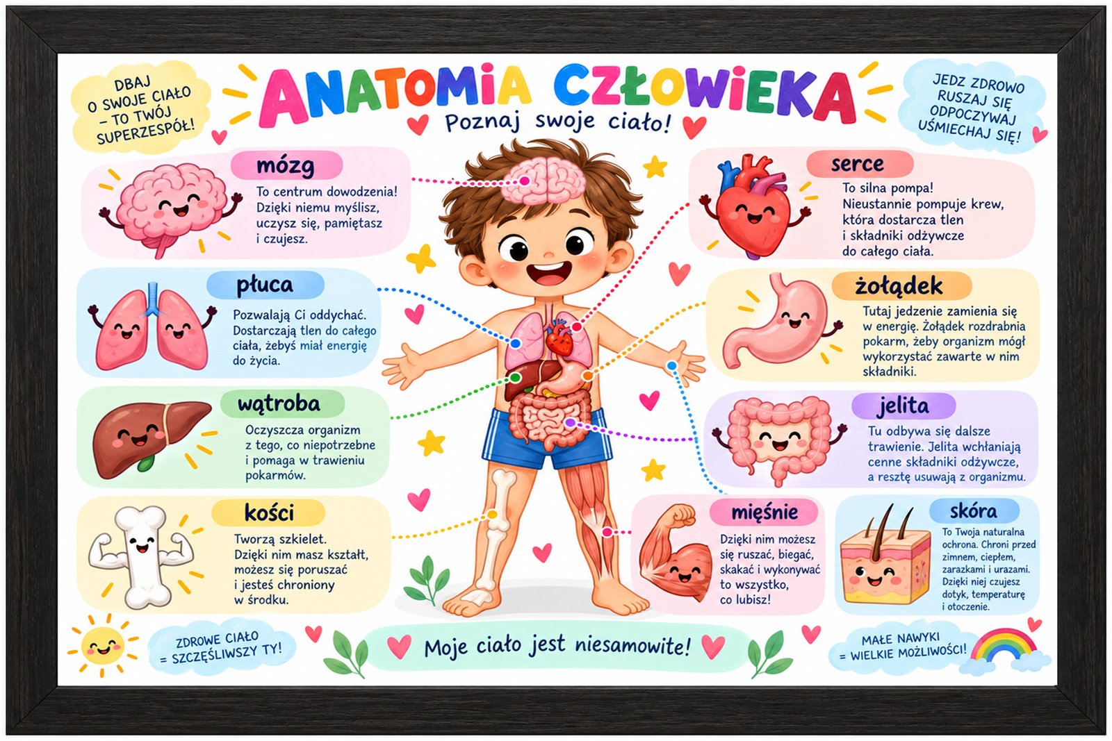 Plakat Edukacyjny Anatomia Człowieka Kompozycja 1