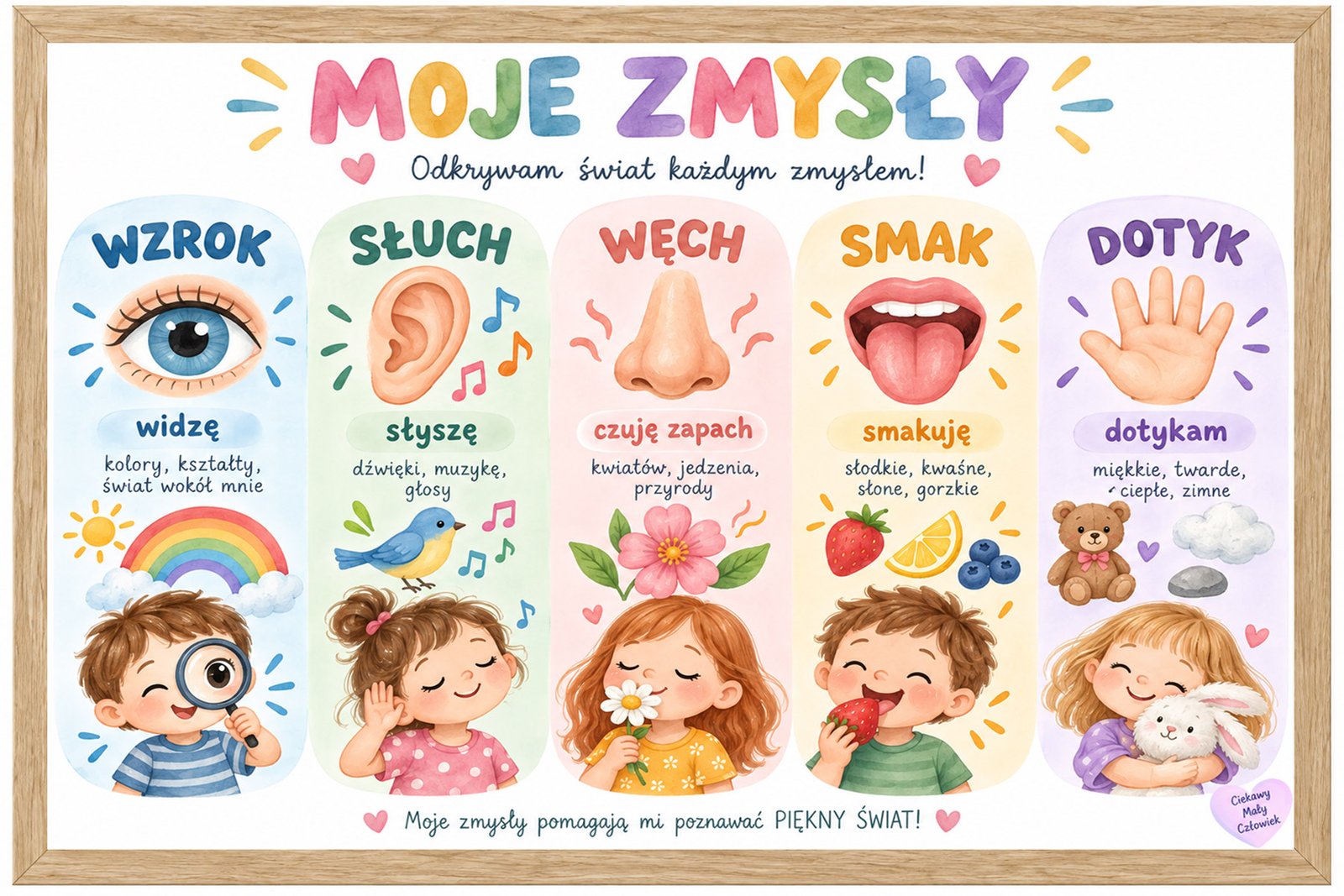 Plakat Edukacyjny Moje Zmysły 2