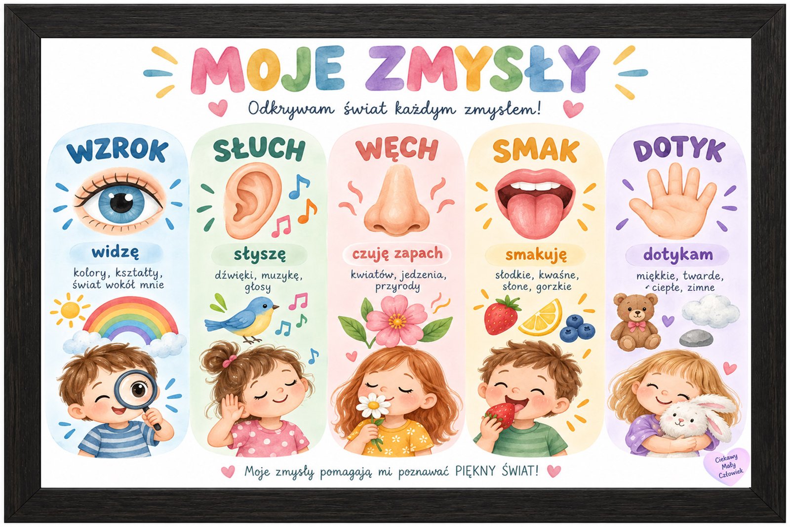 Plakat Edukacyjny Moje Zmysły 2 Kompozycja 1