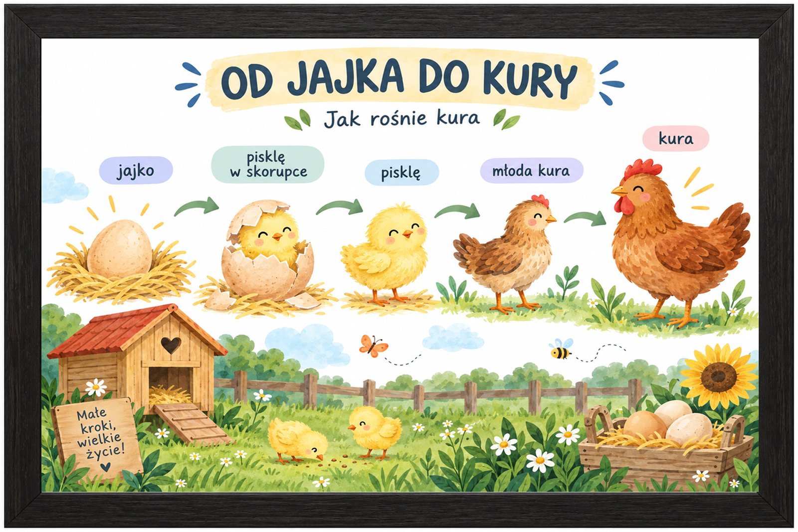 Plakat Edukacyjny Od Jajka Do Kury Kompozycja 1