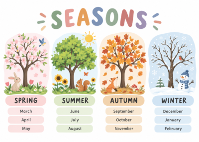 Plakat Edukacyjny Seasons